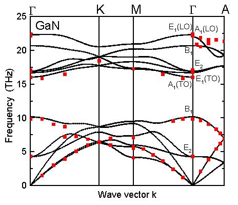 Phonon Dispersion Curves of hexagonal 2H-GaN