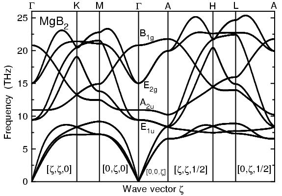 Phonon Dispersion Curves of MgB_2