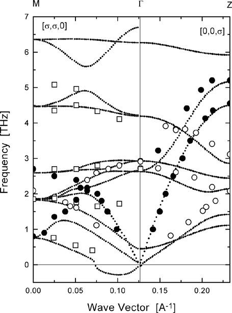 Phonon Dispersion Curves of tetragonal urea
calculated by force field compared with neutron measurements